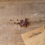BASELLE ou ÉPINARD Malabar Rouge - Graines BIO | Ferme de Sainte Marthe | Graines et Bio