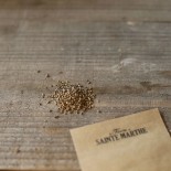 PERSIL PLAT GÉANT D'ITALIE - Graines BIO | Ferme de Sainte Marthe | Graines et Bio