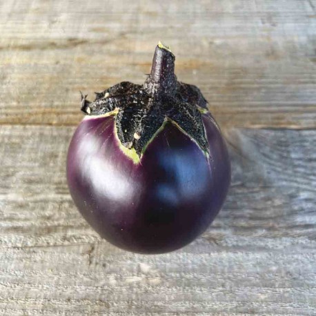 AUBERGINE RONDE DE VALENCE - Graines BIO | Ferme de Sainte Marthe | Graines et Bio