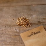 MÂCHE COQUILLE DE LOUVIERS - Graines BIO | Ferme de Sainte Marthe | Graines et Bio