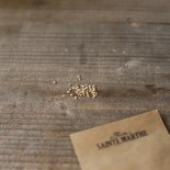 TOMATE MONEYMAKER - Graines BIO | Ferme de Sainte Marthe | Graines et Bio