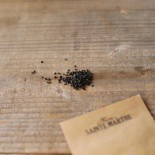 OIGNON JAUNE Stuttgarter - Graines BIO | Ferme de Sainte Marthe | Graines et Bio