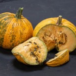 COURGE LADY GODIVA - Graines BIO | KOKOPELLI | Graines et Bio