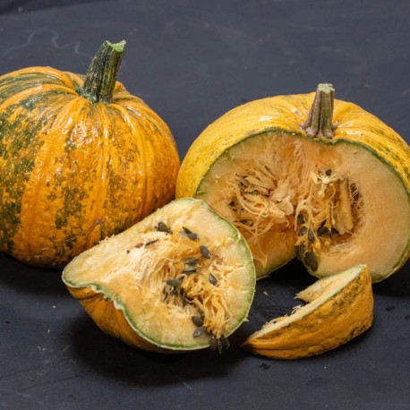 COURGE LADY GODIVA - Graines BIO | KOKOPELLI | Graines et Bio COURGE LADY GODIVA - Graines BIO | KOKOPELLI | Graines et Bio