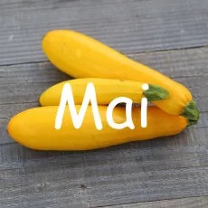 calendrier semis mai
