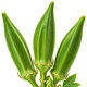 Okra Gombo