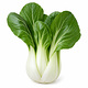 Pak Choi