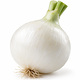 Oignon Blanc
