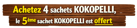 promo-kokopelli.png