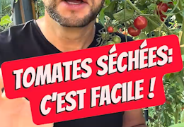 Faire des tomates séchées maison